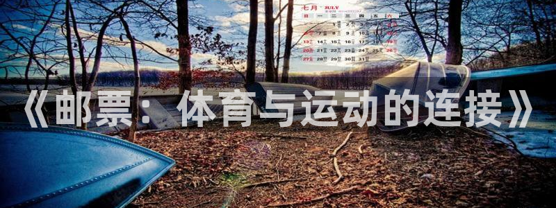 杏鑫2体育