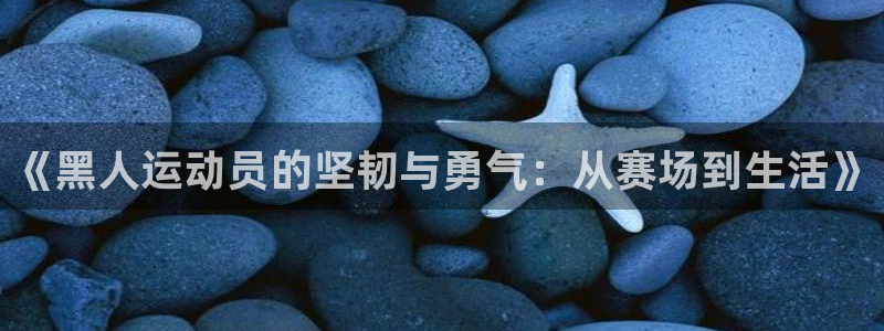 杏鑫集团官网