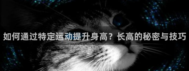 杏鑫4