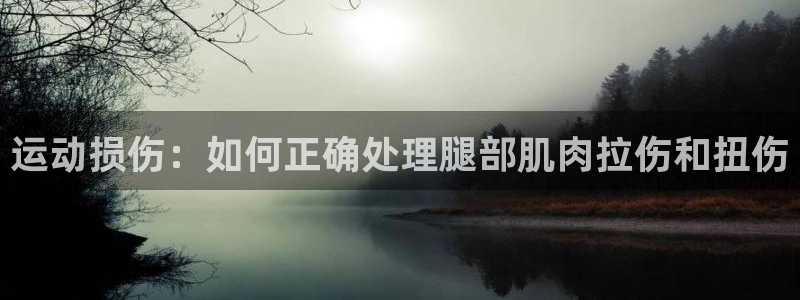 杏鑫平台注册