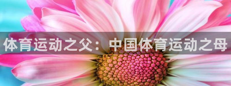 杏鑫体育官网入口登录