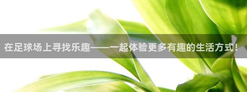杏鑫注册