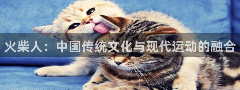 杏鑫体育在线注册