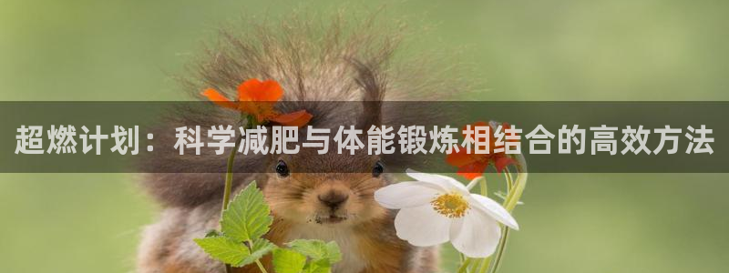 杏鑫体育1招商