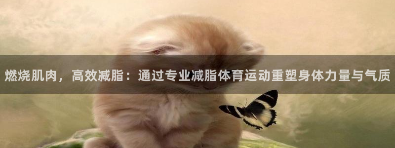 杏鑫体育2
