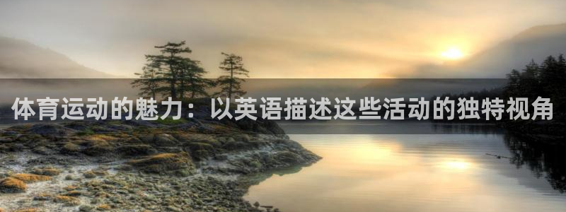 杏鑫3官网