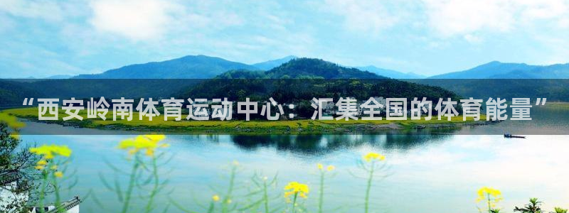 杏鑫官网入口