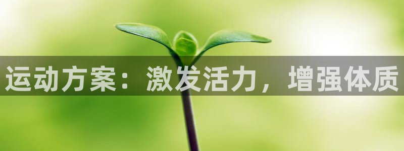 杏鑫4注册