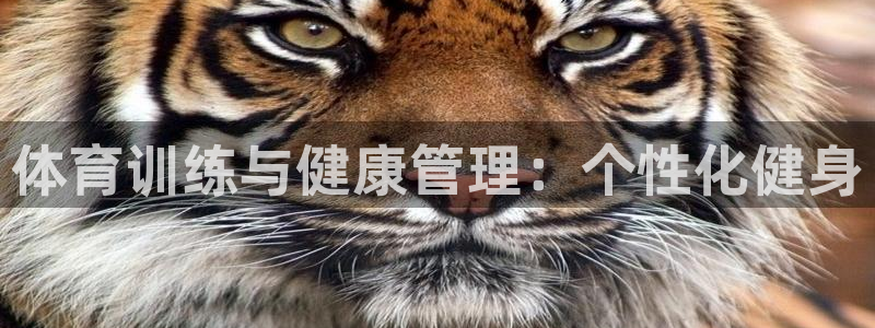 杏鑫体育平台总代理