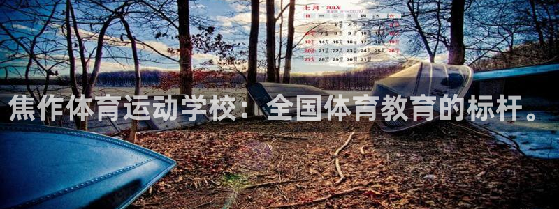 杏鑫3代理