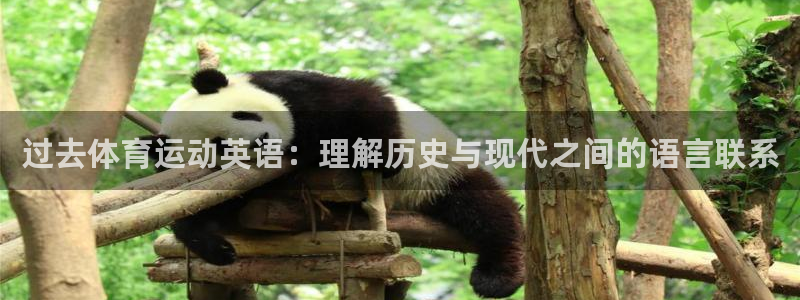 杏鑫体育f开户