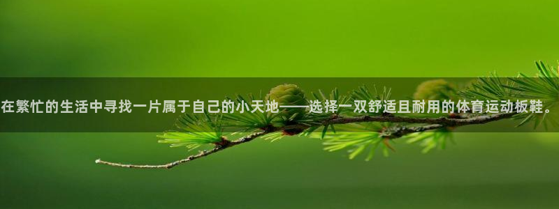 福建杏鑫机电股份公司