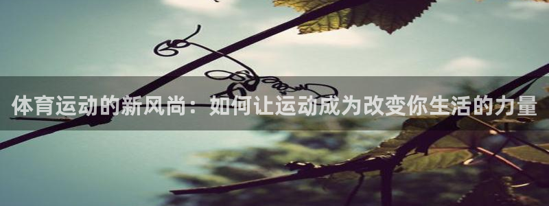 杏鑫2登录入口