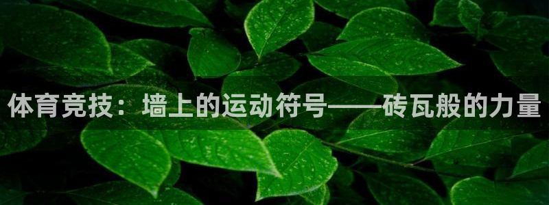 杏鑫体育和杏耀是哪个公司的