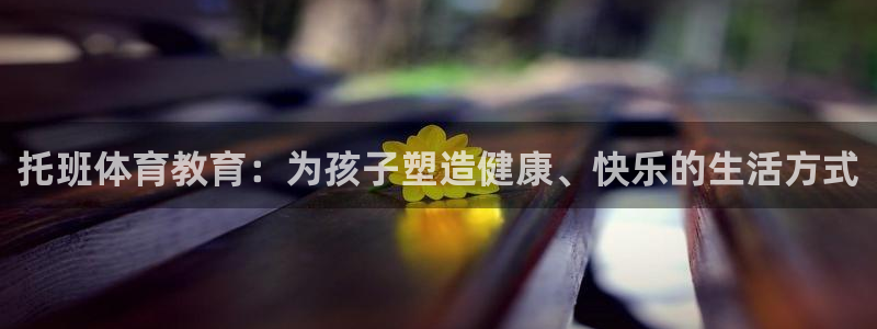 杏鑫零能源集团