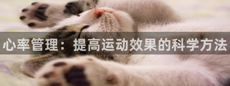 杏鑫平台主管