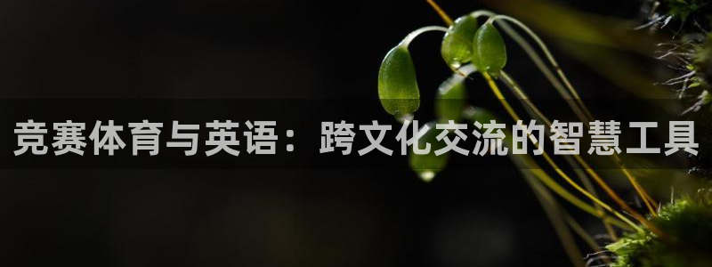 杏鑫体育热门赛事有哪些