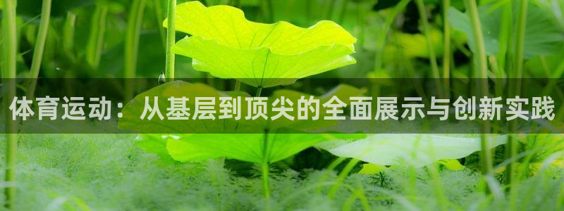 杏鑫股份