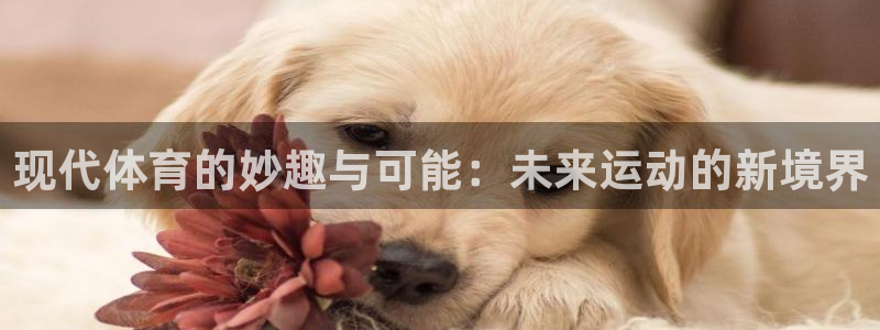 杏鑫体育网页版入口