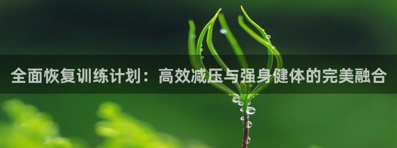 杏鑫平台主管