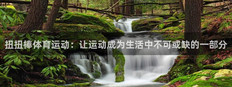 杏鑫代理注册官网入口