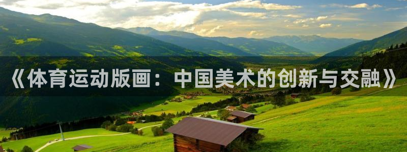 杏鑫体育平台登录入口