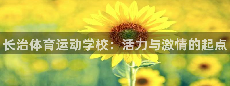 杏鑫零能源集团