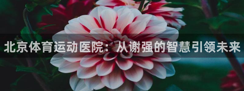 杏鑫2平台登录