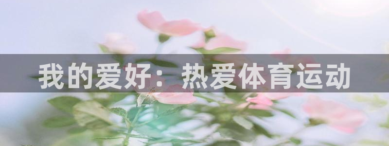 杏鑫2代理注册