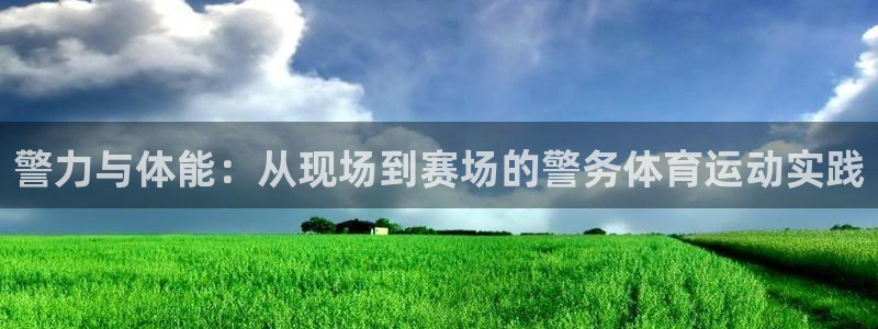 成都杏鑫电子有限公司