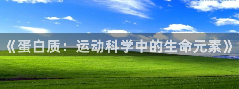 www.杏鑫体育.com