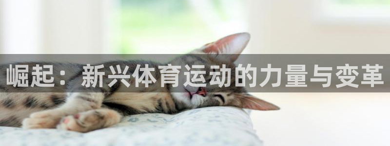 杏鑫凯捷平台注册链接